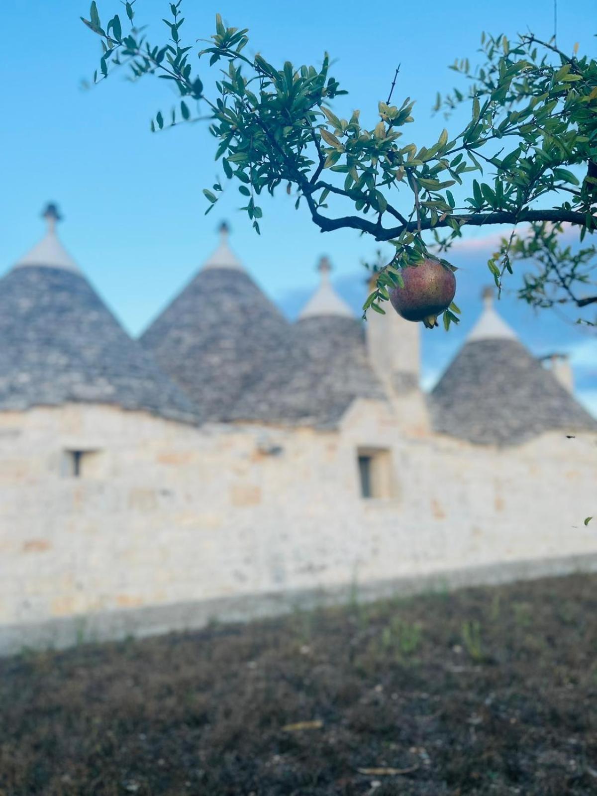 Scardino Trulli Hotel Locorotondo Exterior foto